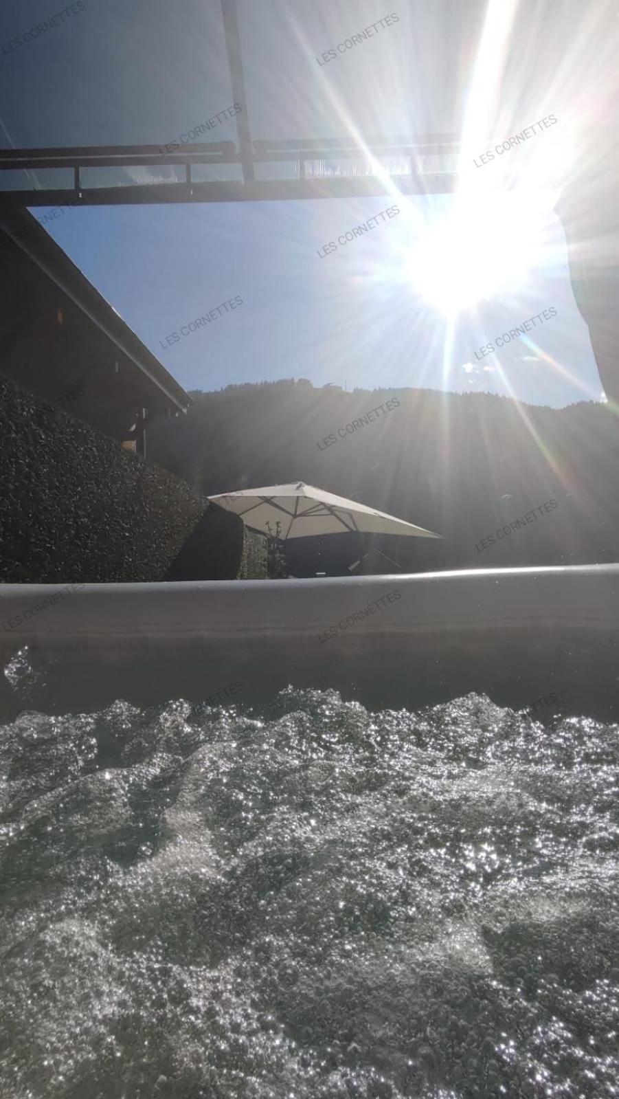 Appartement Meuble Classe 3 Etoiles De 72 M2, 2 Chambres Morzine Exterior foto