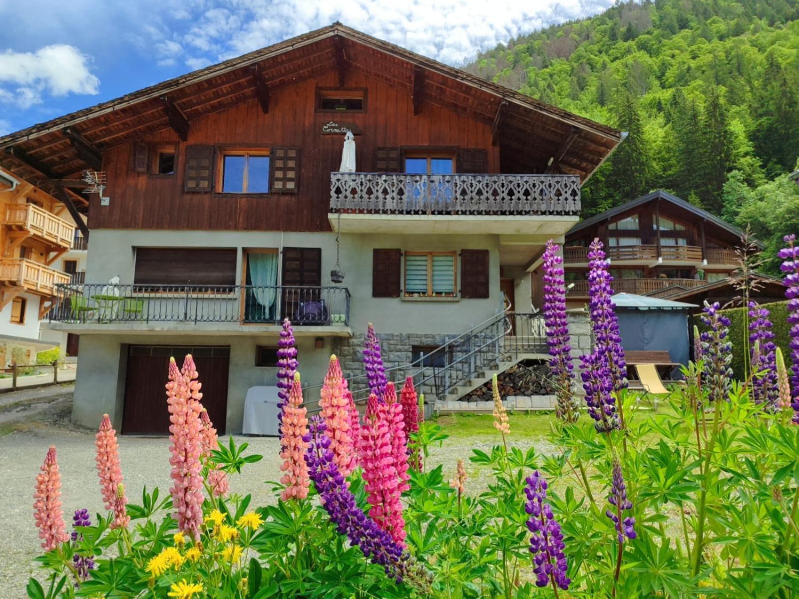 Appartement Meuble Classe 3 Etoiles De 72 M2, 2 Chambres Morzine Exterior foto